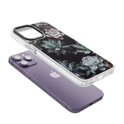 Succulent Bloom Mixed