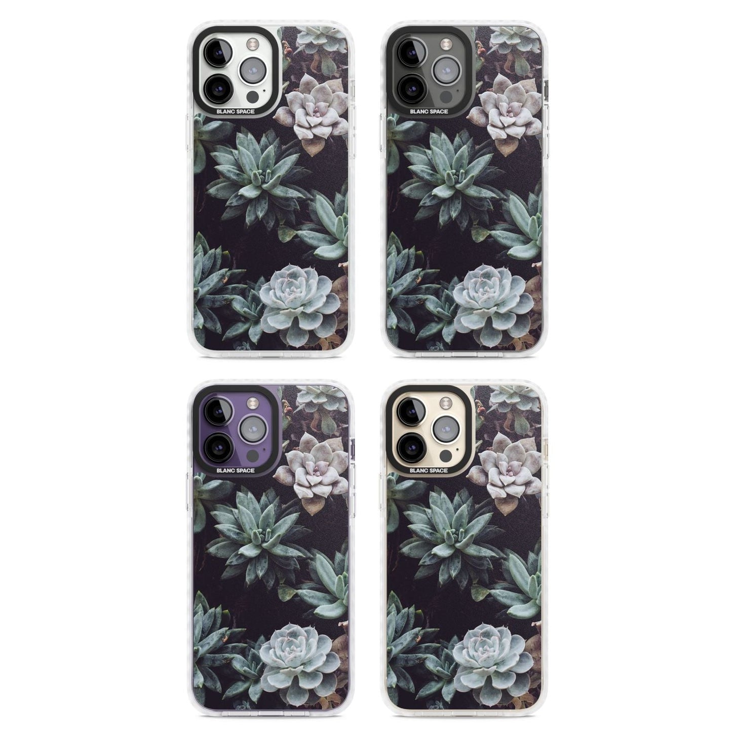 Succulent Bloom Mixed