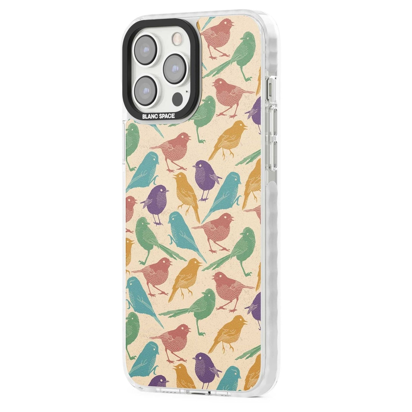 Colorful Feathered Friends