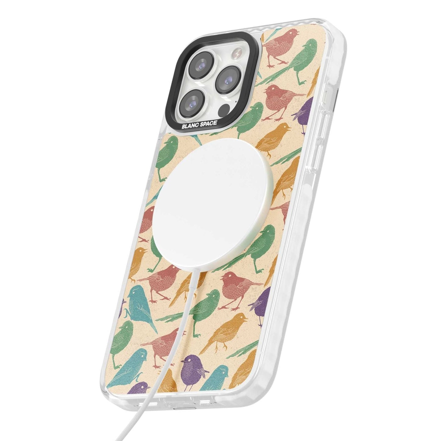 Colorful Feathered Friends