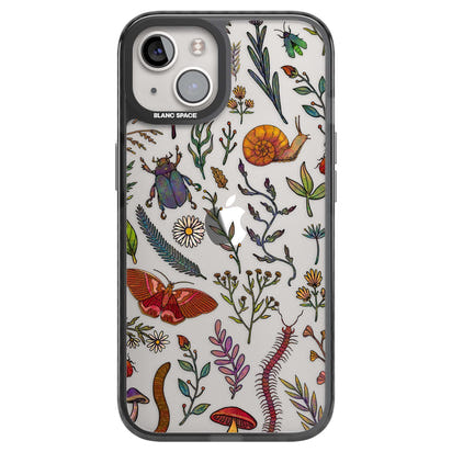 Insectes et fleurs sauvages