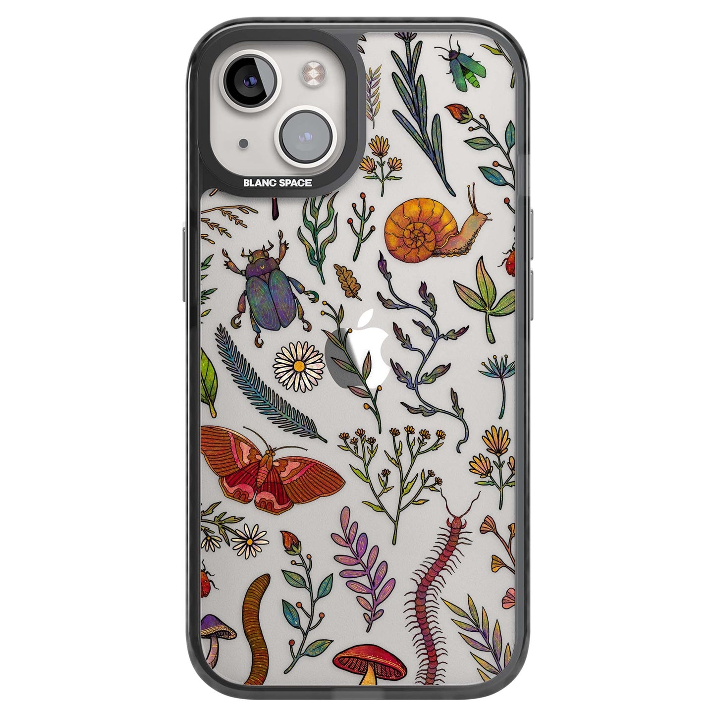 Insectes et fleurs sauvages