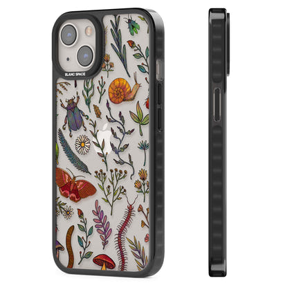 Insectes et fleurs sauvages