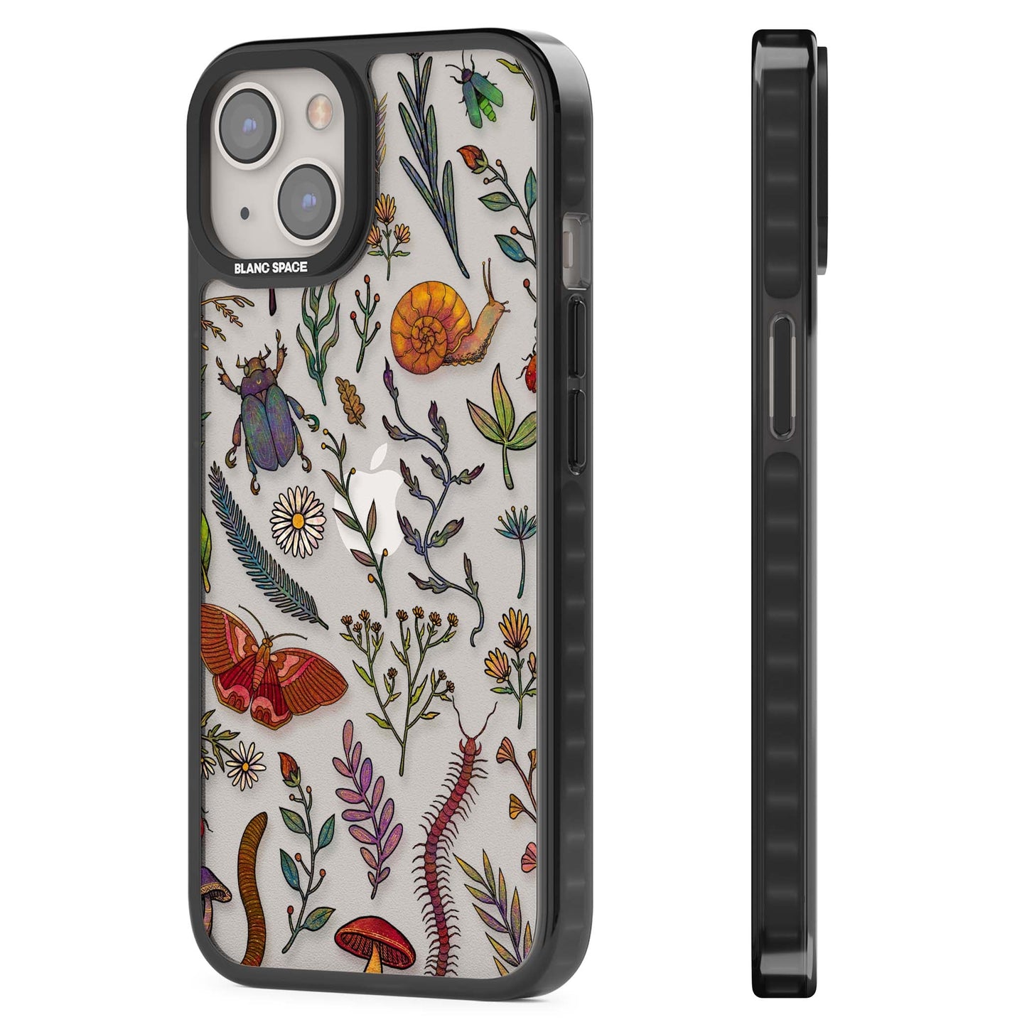 Insectes et fleurs sauvages