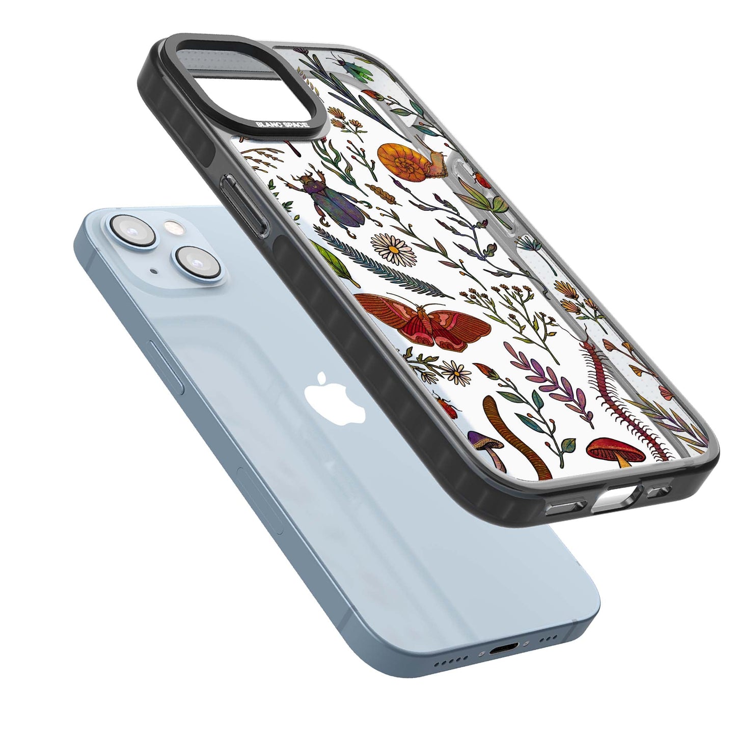 Insectes et fleurs sauvages