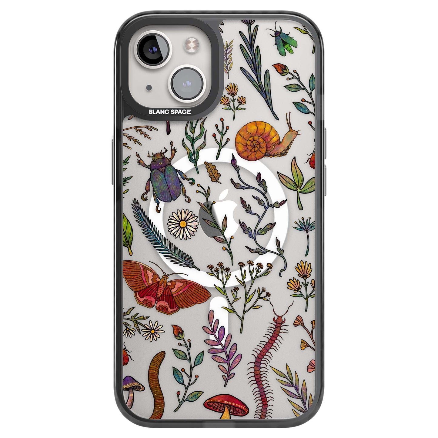 Insectes et fleurs sauvages