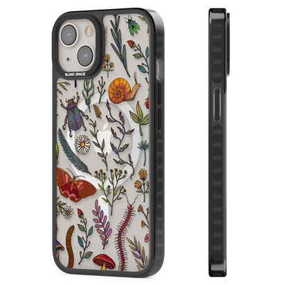 Insectes et fleurs sauvages