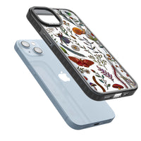 Insectes et fleurs sauvages