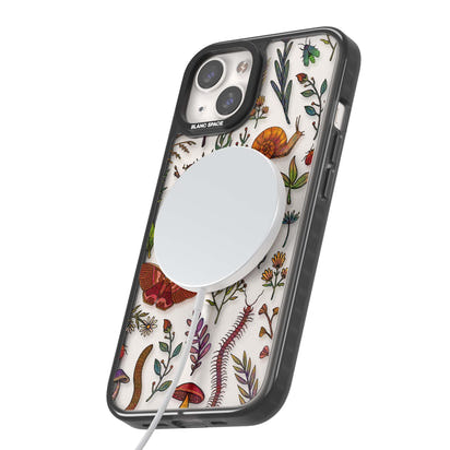 Insectes et fleurs sauvages