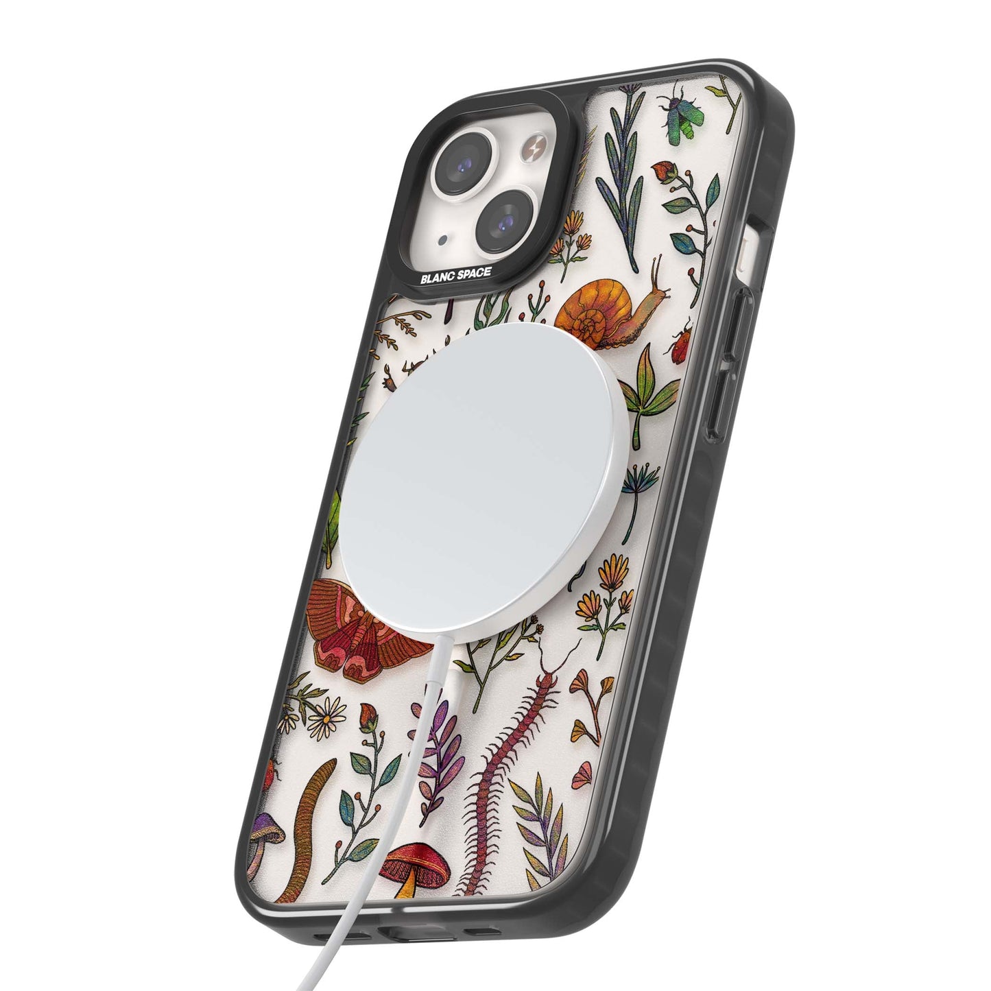 Insectes et fleurs sauvages