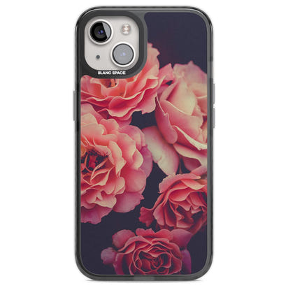 Mitternachtsrosenblüte