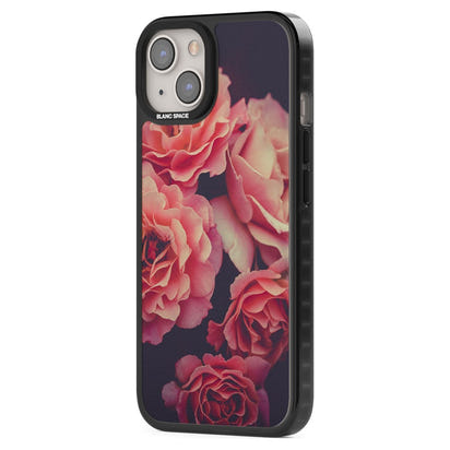 Mitternachtsrosenblüte