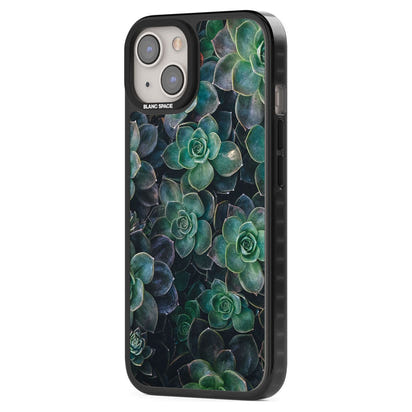 Succulent Bloom Botanical