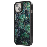 Succulent Bloom Botanical