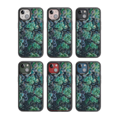 Succulent Bloom Botanical