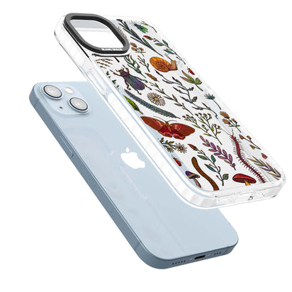 Insectes et fleurs sauvages