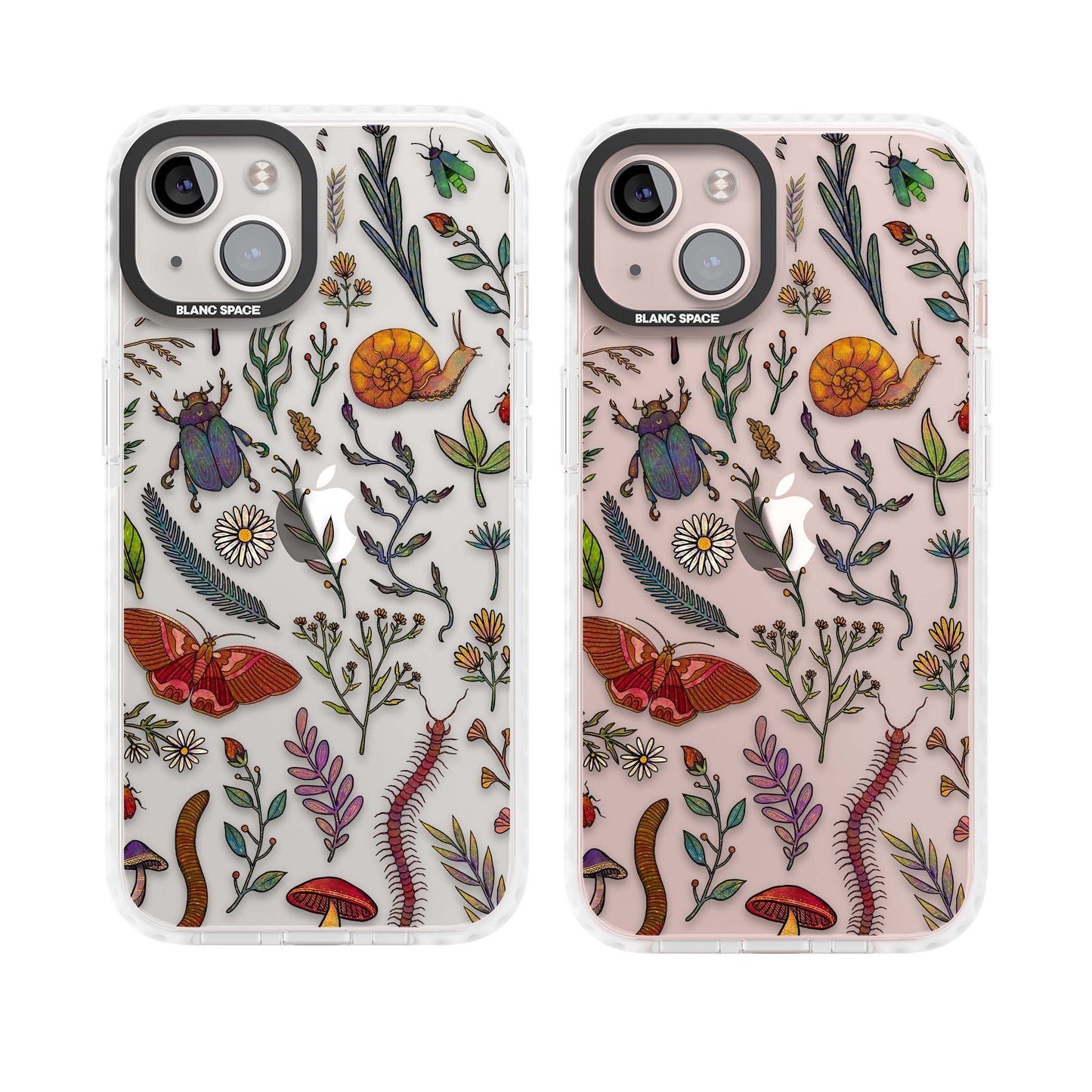 Insectes et fleurs sauvages