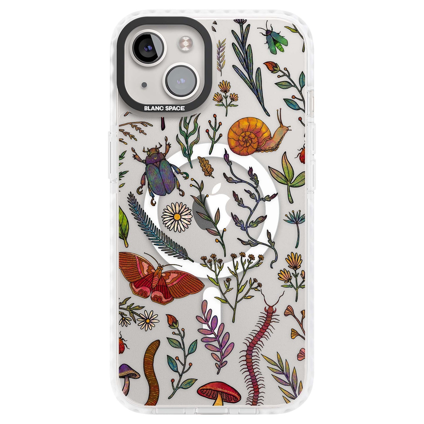 Insectes et fleurs sauvages