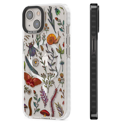 Insectes et fleurs sauvages