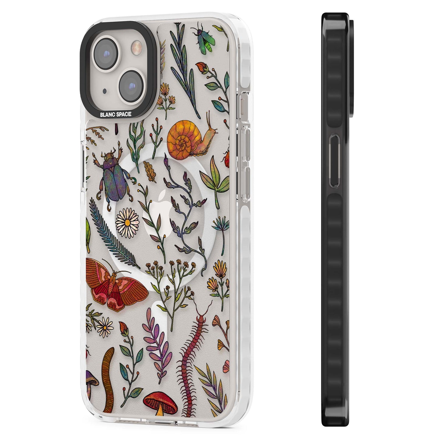 Insectes et fleurs sauvages