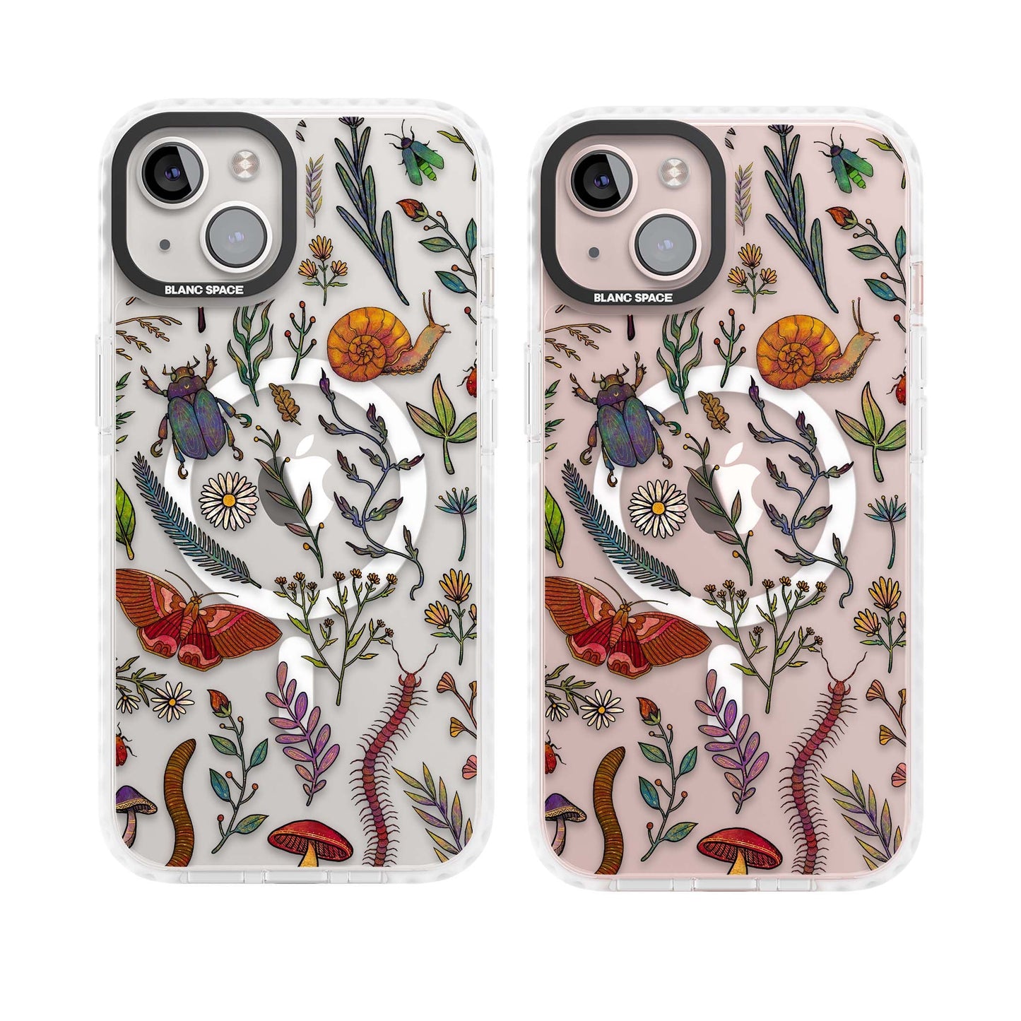 Insectes et fleurs sauvages