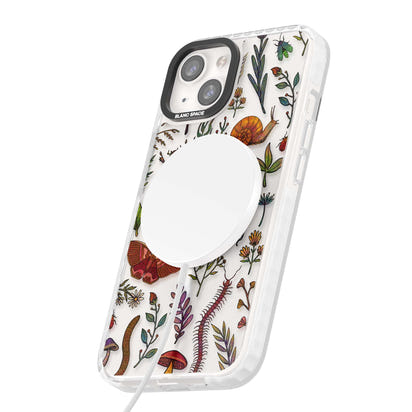 Insectes et fleurs sauvages