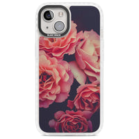 Mitternachtsrosenblüte