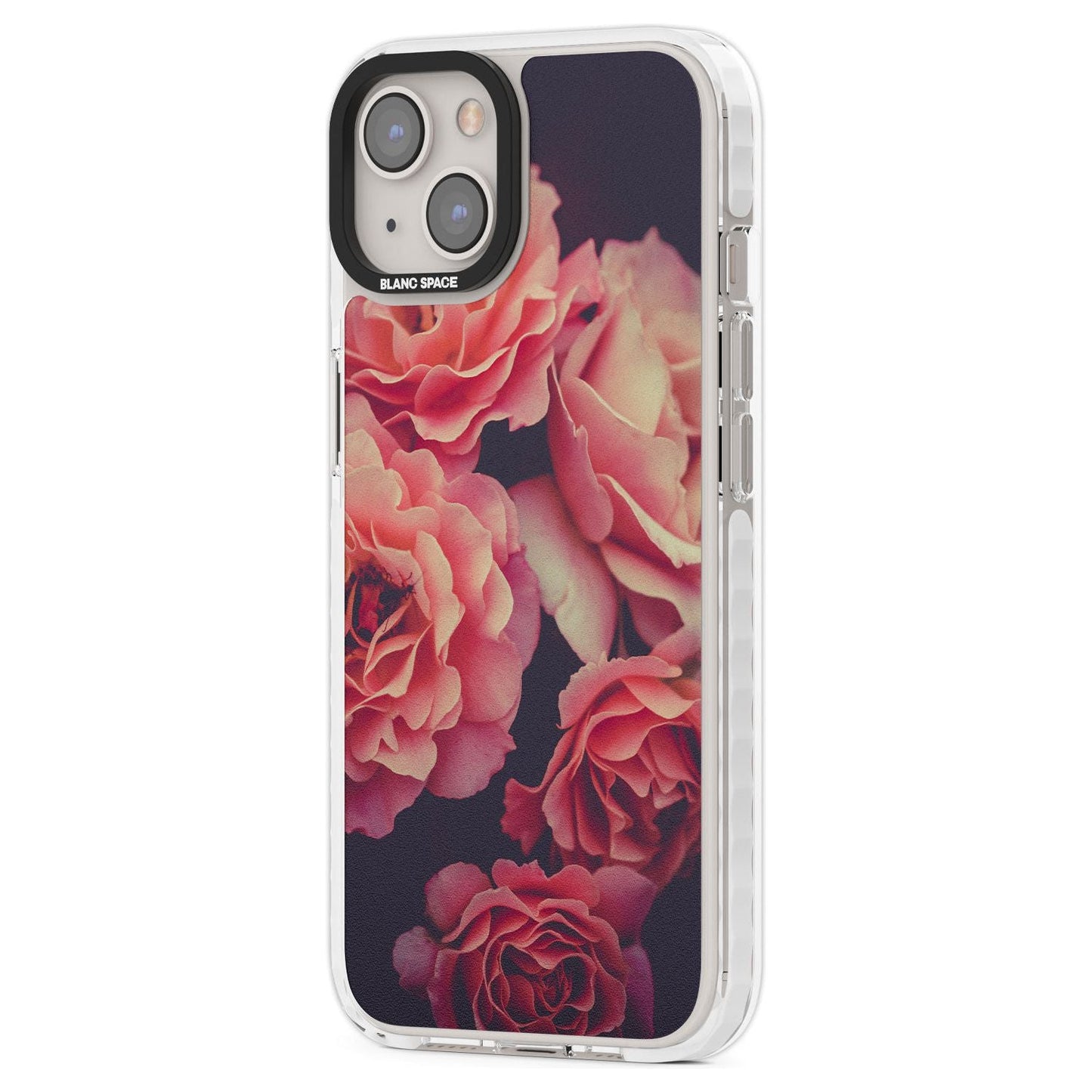 Mitternachtsrosenblüte