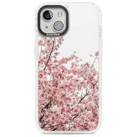Cherry Blossom Bloom