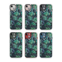 Succulent Bloom Botanical