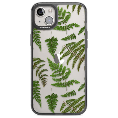 Leafy Ferns