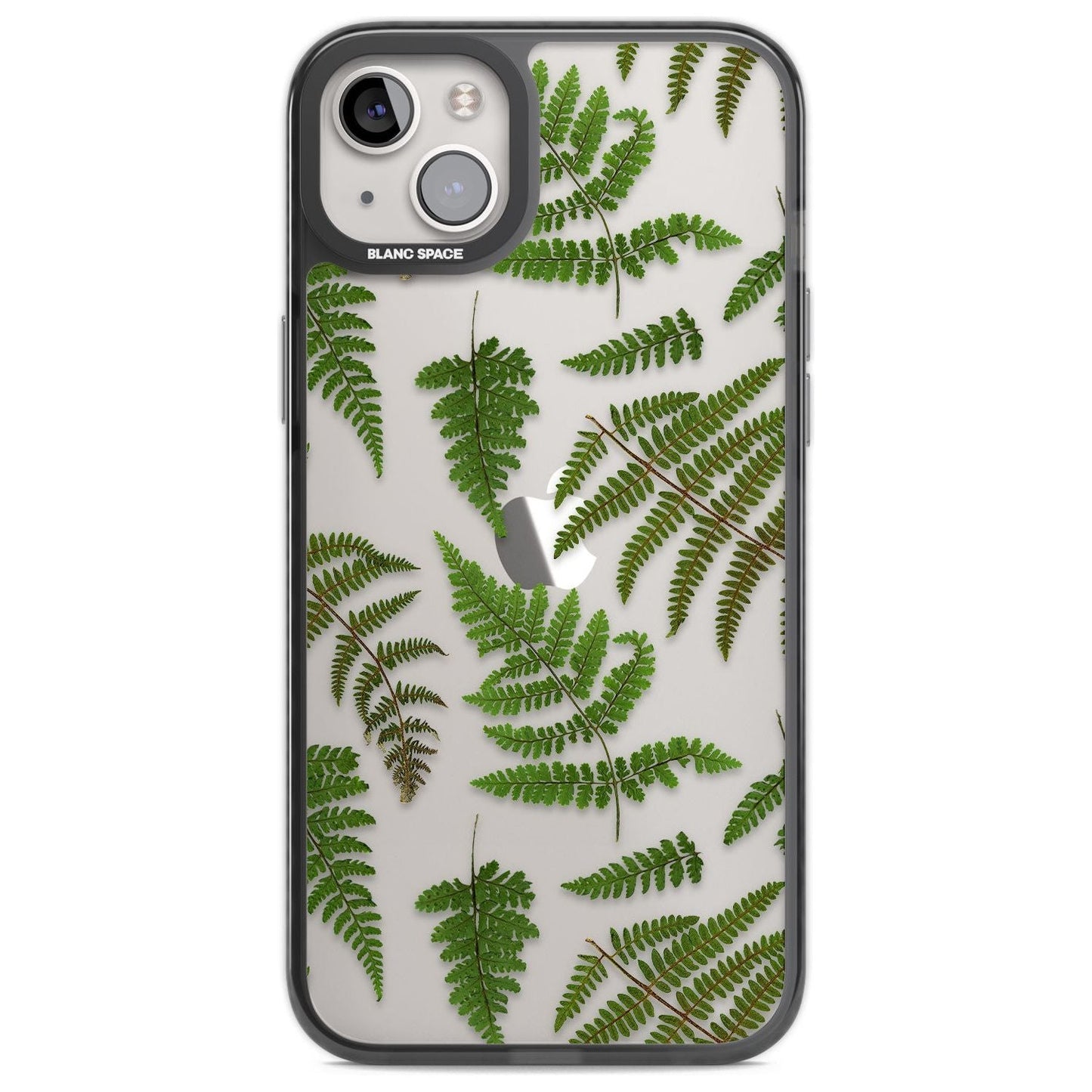 Leafy Ferns