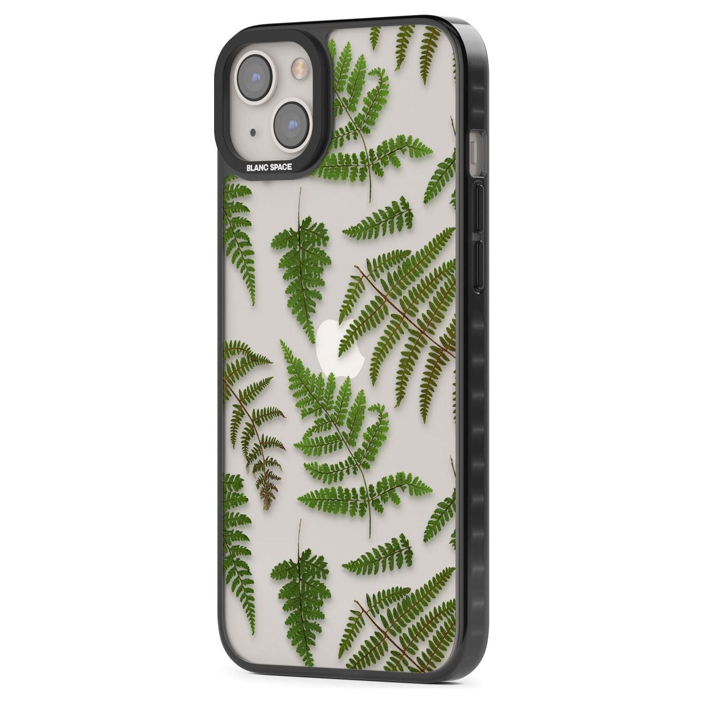 Leafy Ferns
