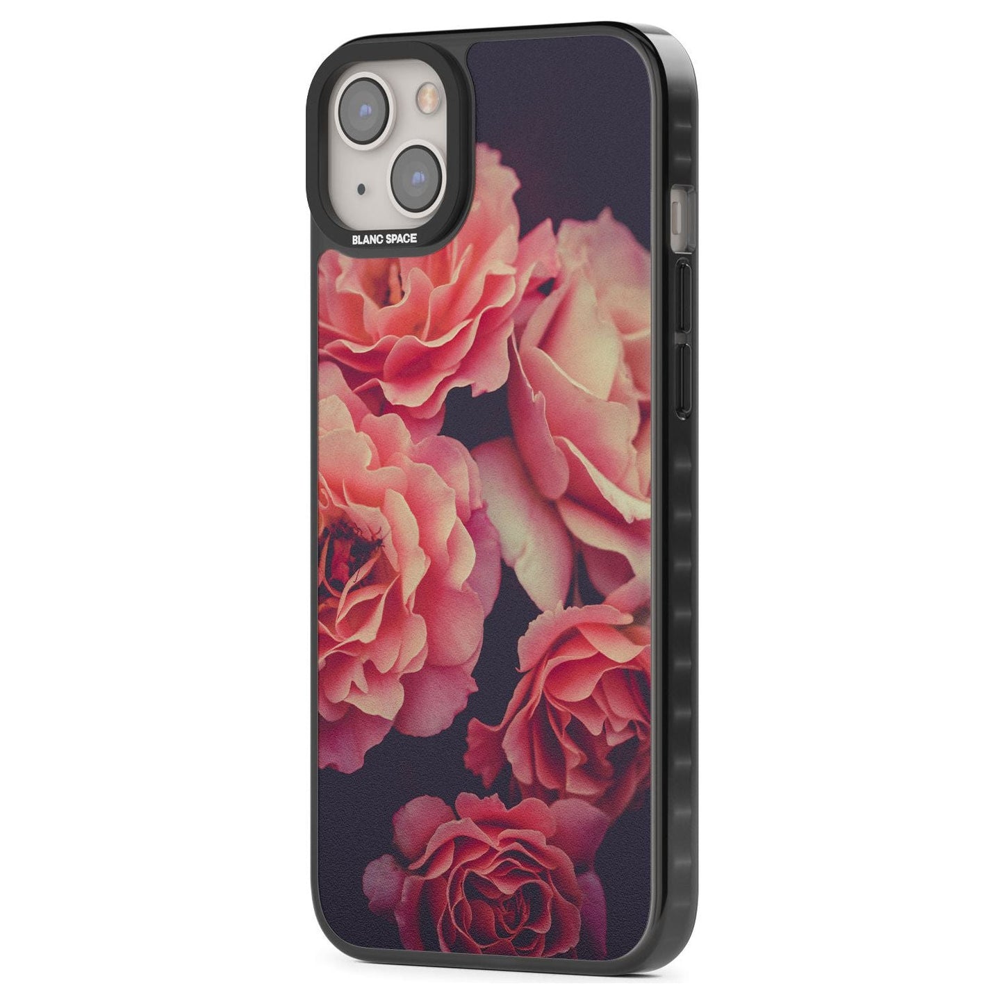 Mitternachtsrosenblüte