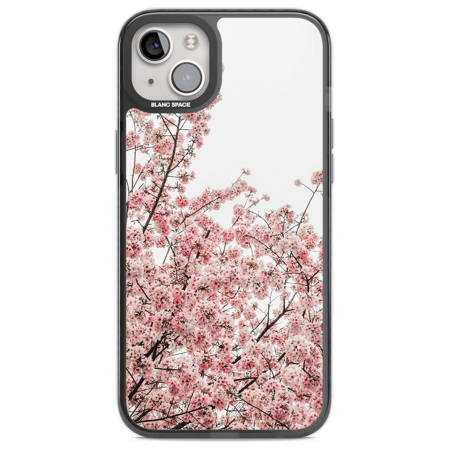 Cherry Blossom Bloom