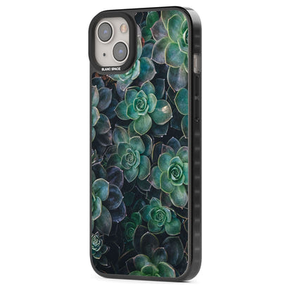 Succulent Bloom Botanical