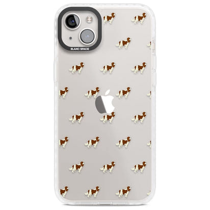 Cavalier King Charles Hundemuster