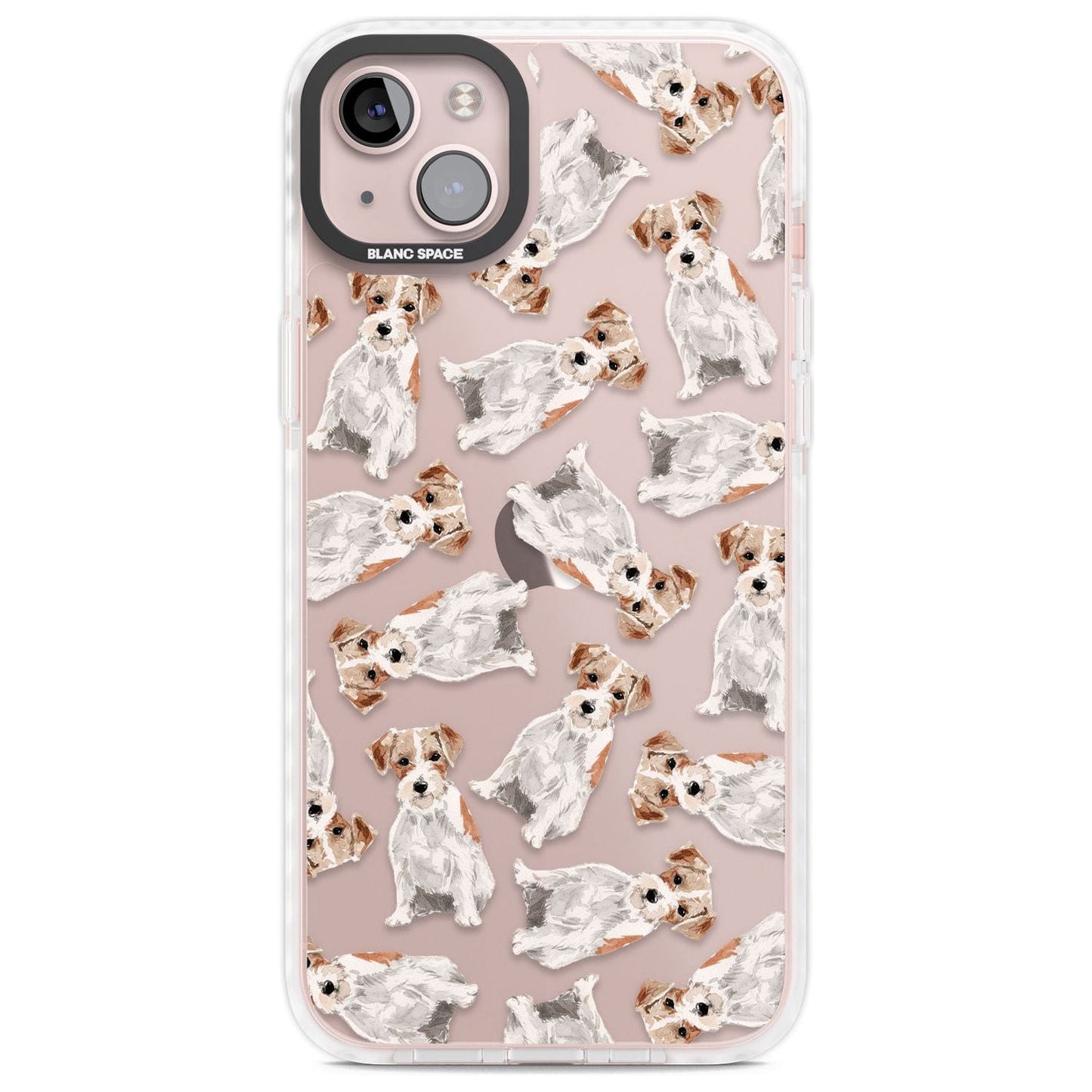 Jack Russell à poil dur fantaisiste