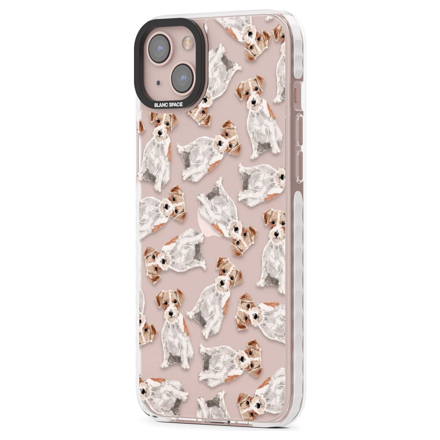 Jack Russell à poil dur fantaisiste