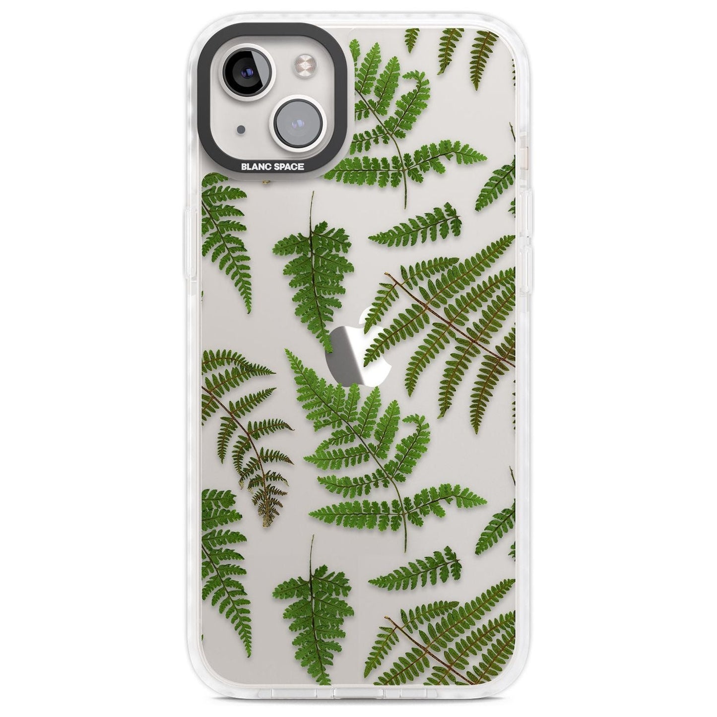 Leafy Ferns