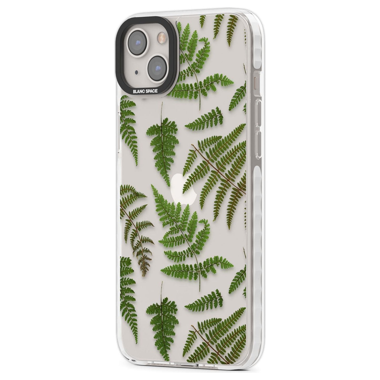 Leafy Ferns