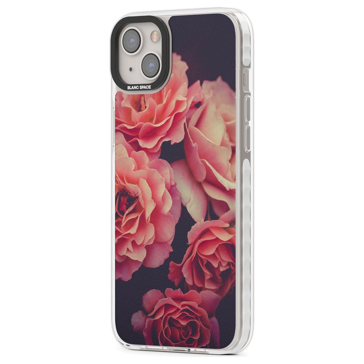 Mitternachtsrosenblüte