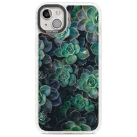 Succulent Bloom Botanical