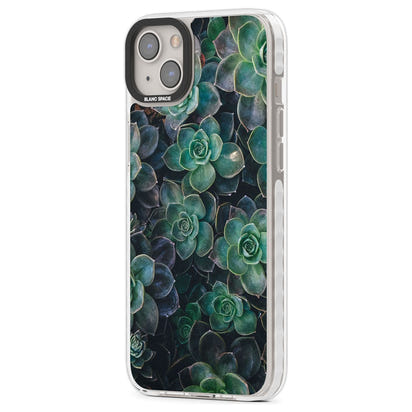 Succulent Bloom Botanical