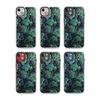 Succulent Bloom Botanical