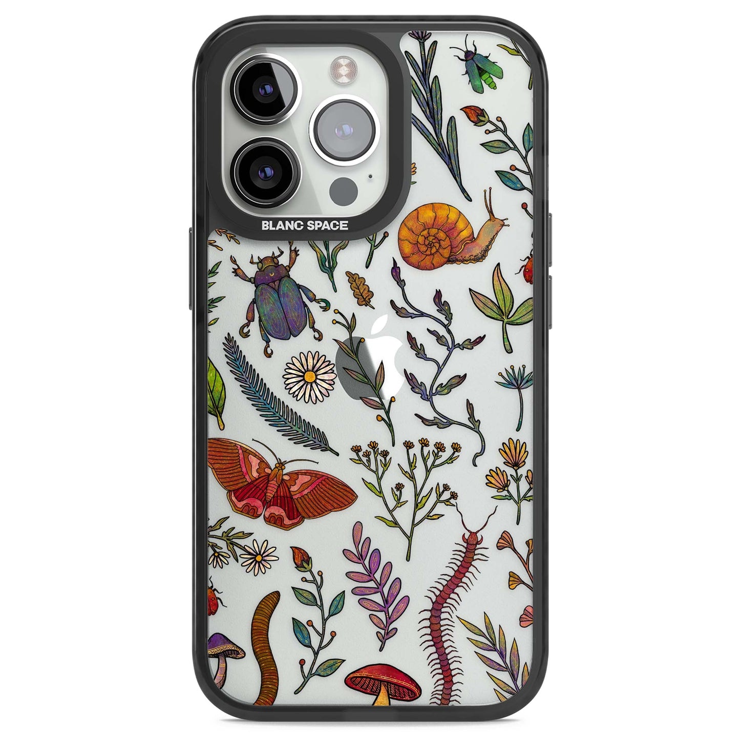 Insectes et fleurs sauvages