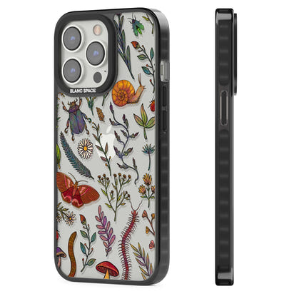 Insectes et fleurs sauvages