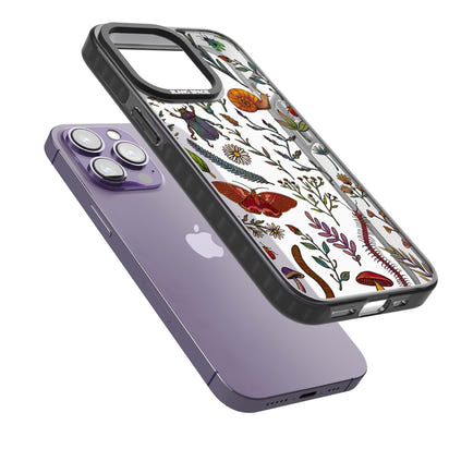 Insectes et fleurs sauvages