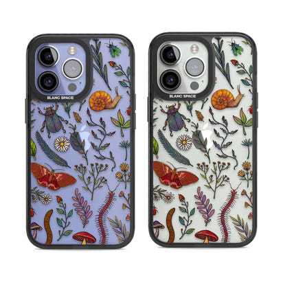 Insectes et fleurs sauvages