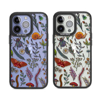 Insectes et fleurs sauvages